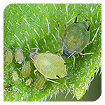 Landing-Page-Images-012_small.png