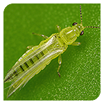 Landing-Page-Images-01_small.png