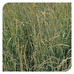 Website-Update-Article-Images-013.png