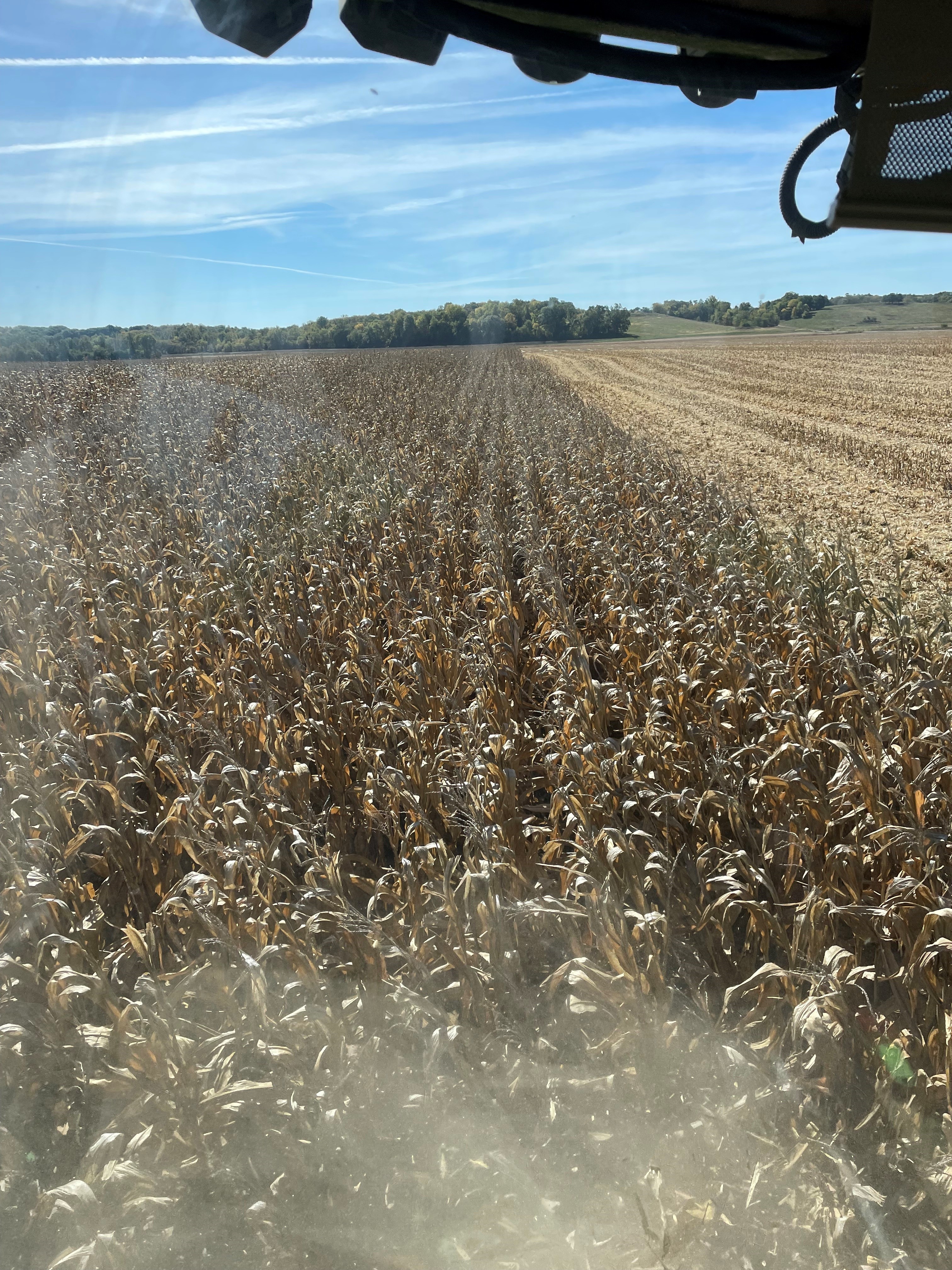 Comparison of 20-inch versus 30-inch Corn Row Widths | Crop Science US