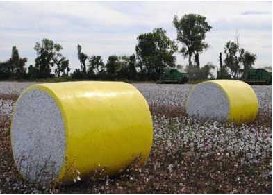 The Importance of Clean Cotton During Harvest