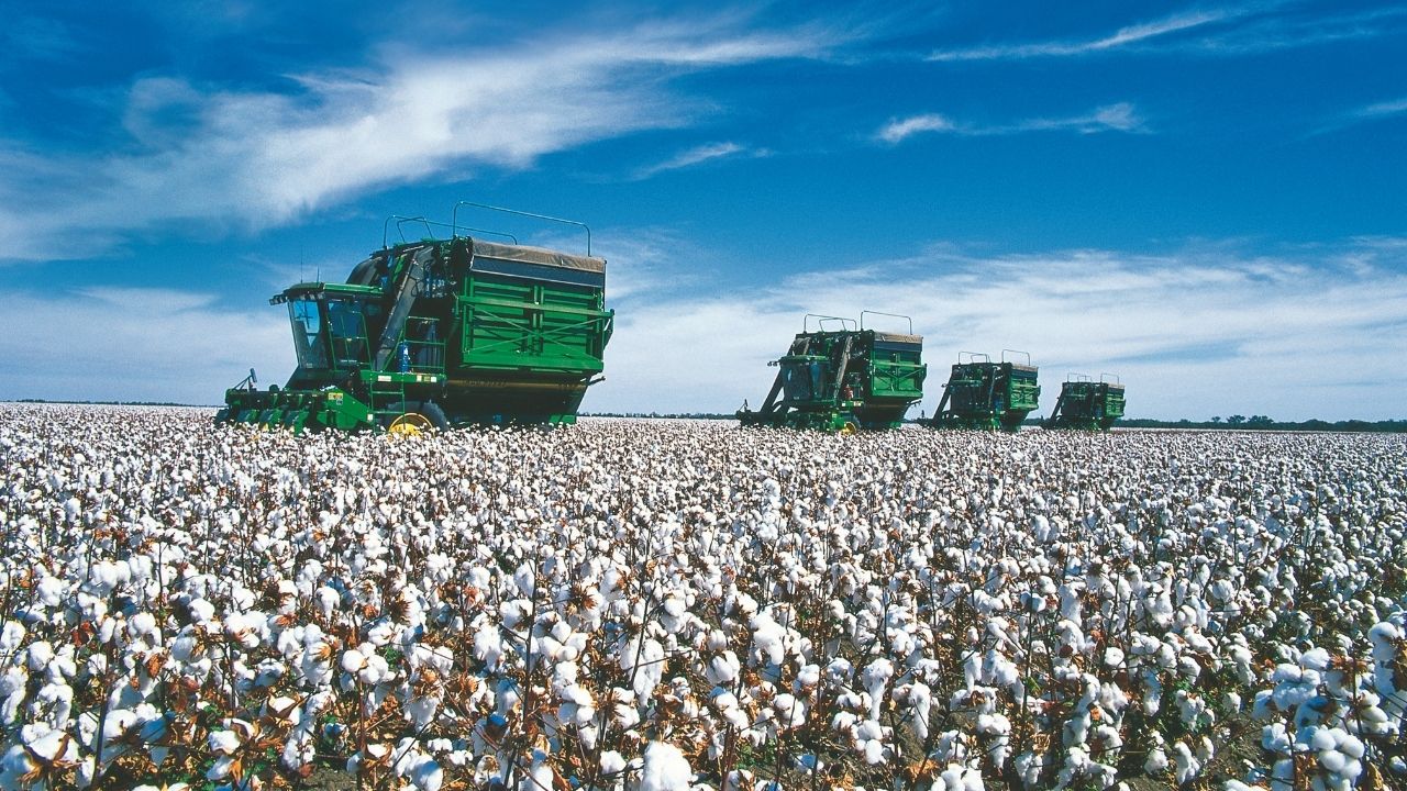 Bollgard® 3 Refuge Calculator