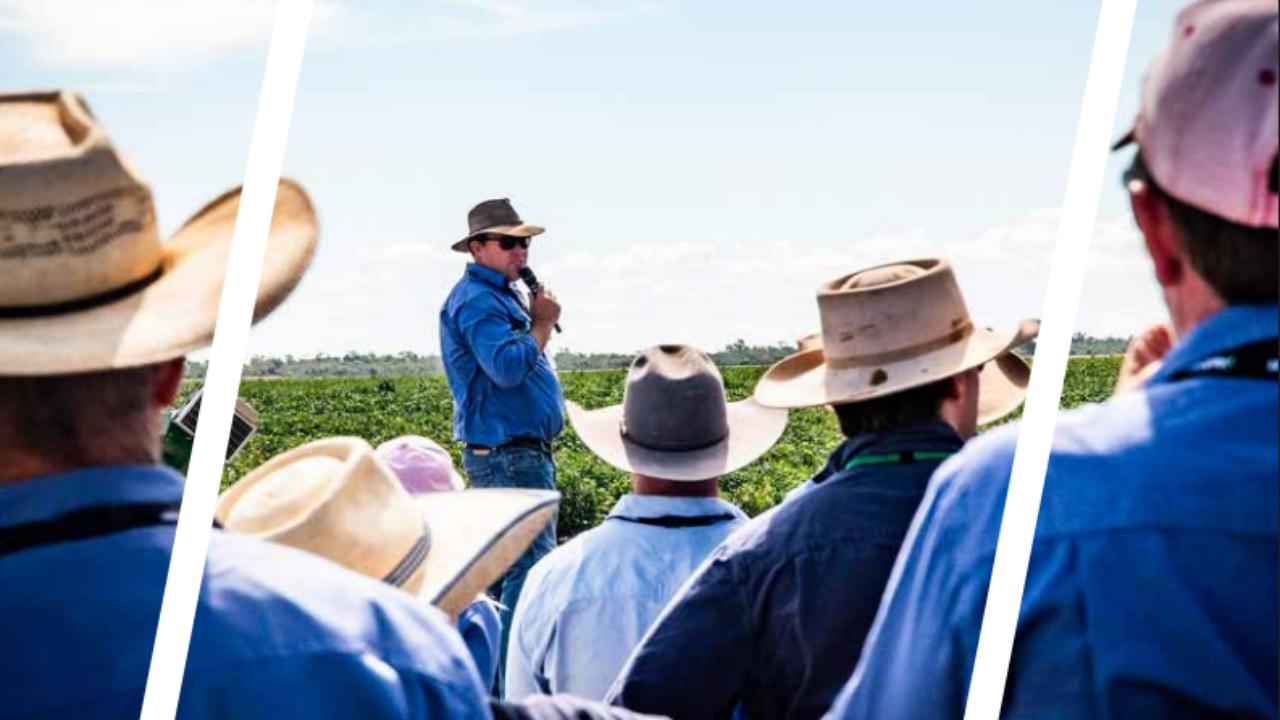Cotton Choices program details