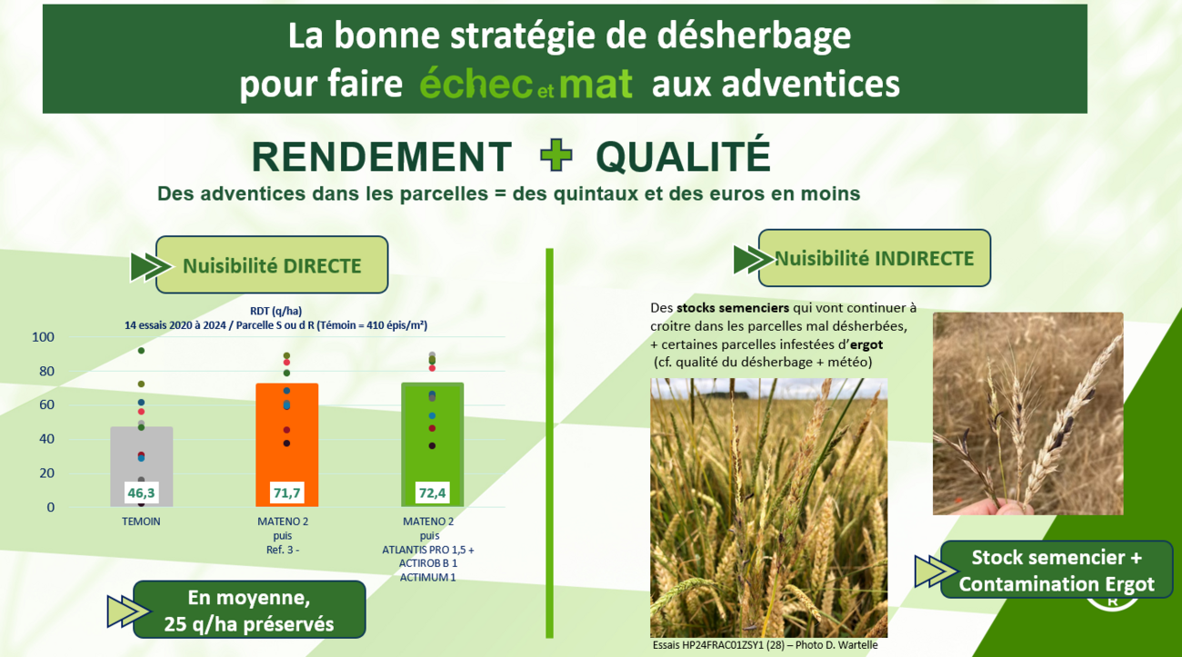 la bonne stratégie de désherbage