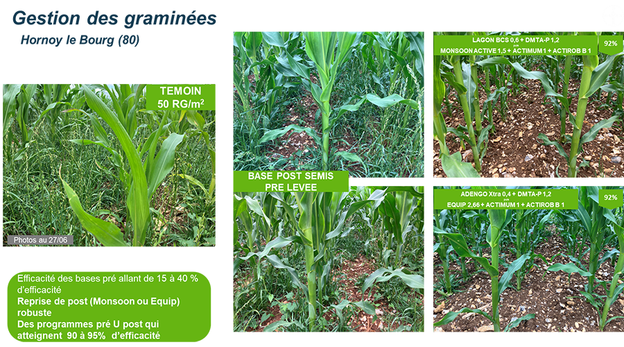 comment-choisir-la-bonne-solution-desherbage-en-post-levee-mais-dans-le-cadre-dun-programme%20Rich%20Text%20Editor-1.png