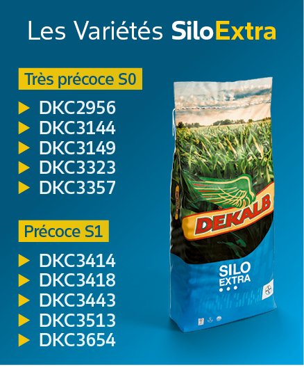 varietes-de-mais-fourrage-siloextra-une-genetique-inedite-a-dekalb.jpg