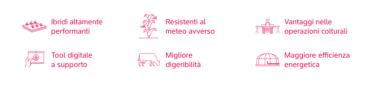Preceon_Rich_Text_Editor_3v2.png