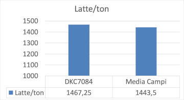dkc7084-librido-con-produzioni-di-massa-eccezionali_Rich_Text_Editor_4.png