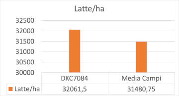 dkc7084-librido-con-produzioni-di-massa-eccezionali_Rich_Text_Editor_5.png