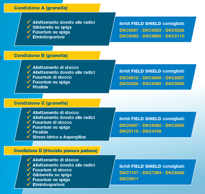 mais-con-field-shield-e-silo-extra-la-produttivita-e-al-sicuro_Rich_Text_Editor_3.png