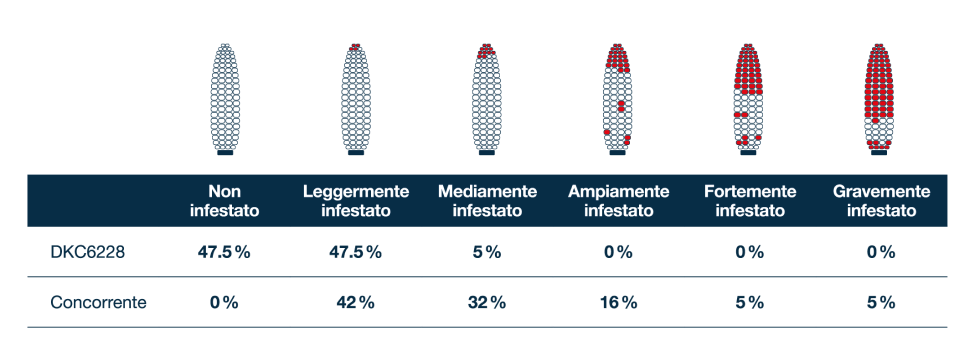 sanita-della-granella-alla-raccolta_Rich_Text_Editor_2.png