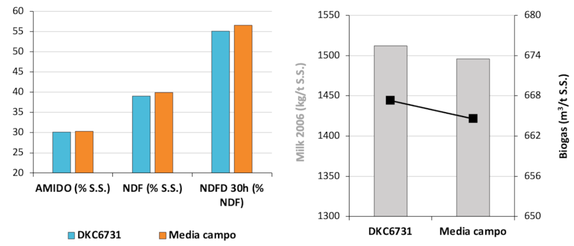 sfida-dkc6731_Rich_Text_Editor_4.png