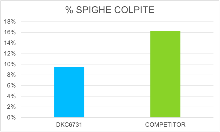 sfida-dkc6731_Rich_Text_Editor_8.png