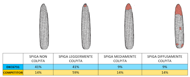 sfida-dkc6731_Rich_Text_Editor_9.png