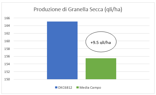 sfida-dkc6812_Rich_Text_Editor_1.png