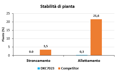 sfida-dkc7023_Rich_Text_Editor_1.png