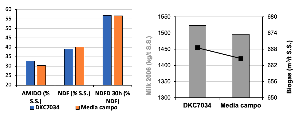 sfida-dkc7034_Rich_Text_Editor_4.png