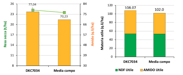 sfida-dkc7034_Rich_Text_Editor_5.png
