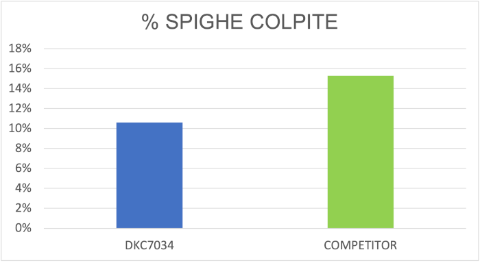 sfida-dkc7034_Rich_Text_Editor_7.png