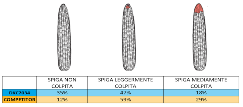 sfida-dkc7034_Rich_Text_Editor_8.png