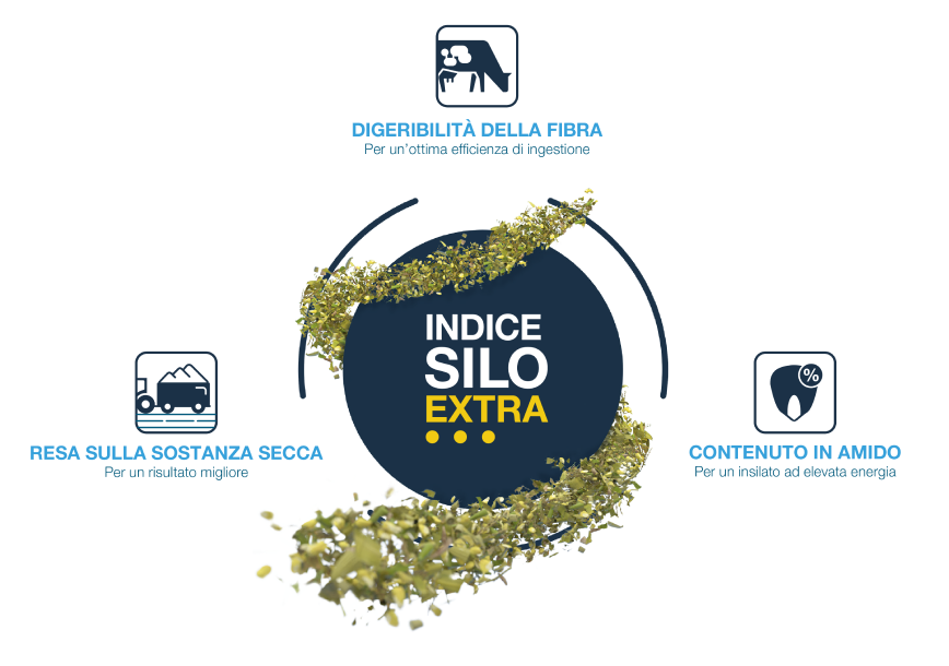 una-nuova-generazioni-di-ibridi-per-il-tuo-trinciato_Rich_Text_Editor_2.png