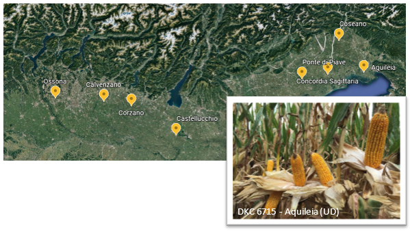 dkc6715-librido-che-massimizza-la-resa-con-alto-peso-specifico_Rich_Text_Editor_4.png