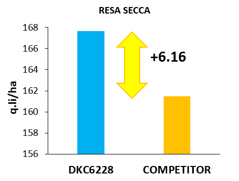 sfida-dkc6228_Rich_Text_Editor.png