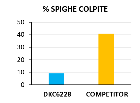 sfida-dkc6228_Rich_Text_Editor_4.png