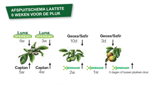 Afspuitschema%20appel%206%20weken%20voor%20pluk.png