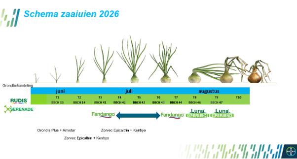 Schema%20zaaiuien%202026.png