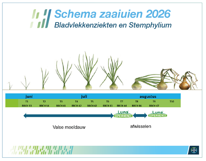 Schema%20zaaiuien.png