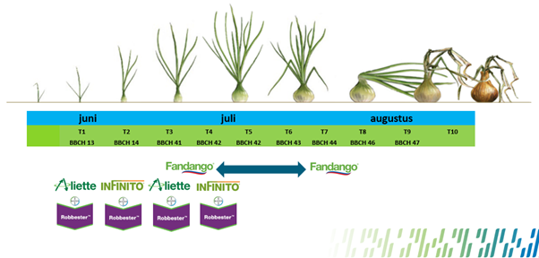 advies%20schema%20plantuien.png