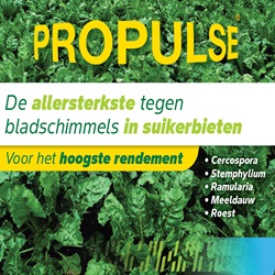 Propulse_ad_250x250.jpg