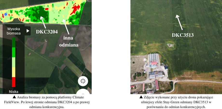 Analiza za pomocą platformy Climate FieldView