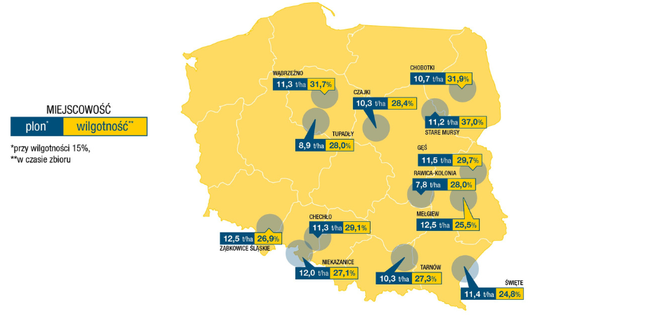 Wyniki plonowania kukurydzy DKC3201 w warunkach rolniczych