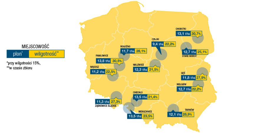 Wyniki plonowania kukurydzy DKC3595