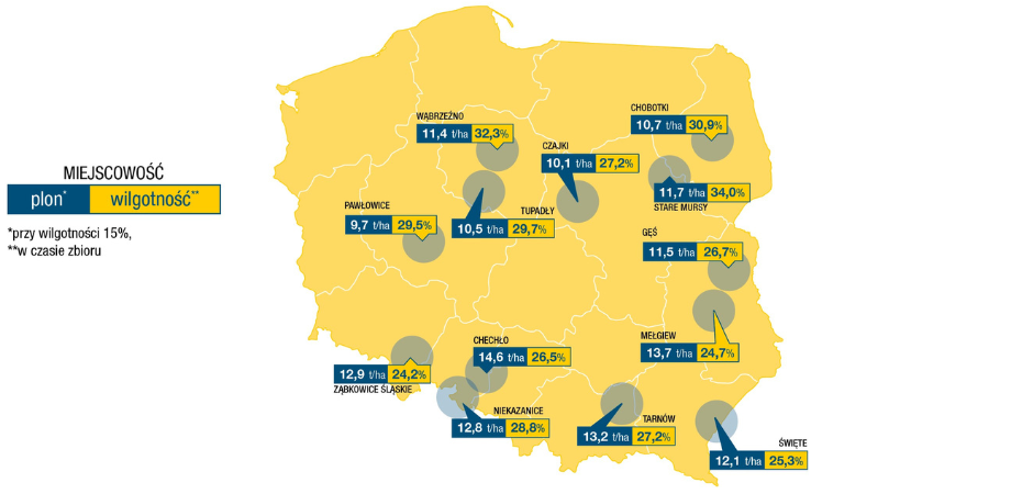 Wyniki plonowania kukurydzy na ziarno i kiszonkę DKC3719