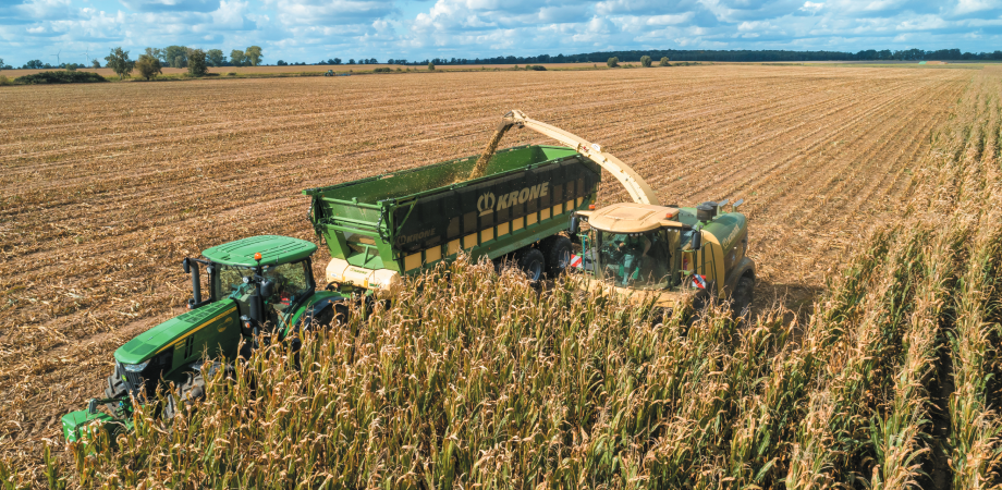 Traktor na polu kosi kukurydzę na kiszonkę