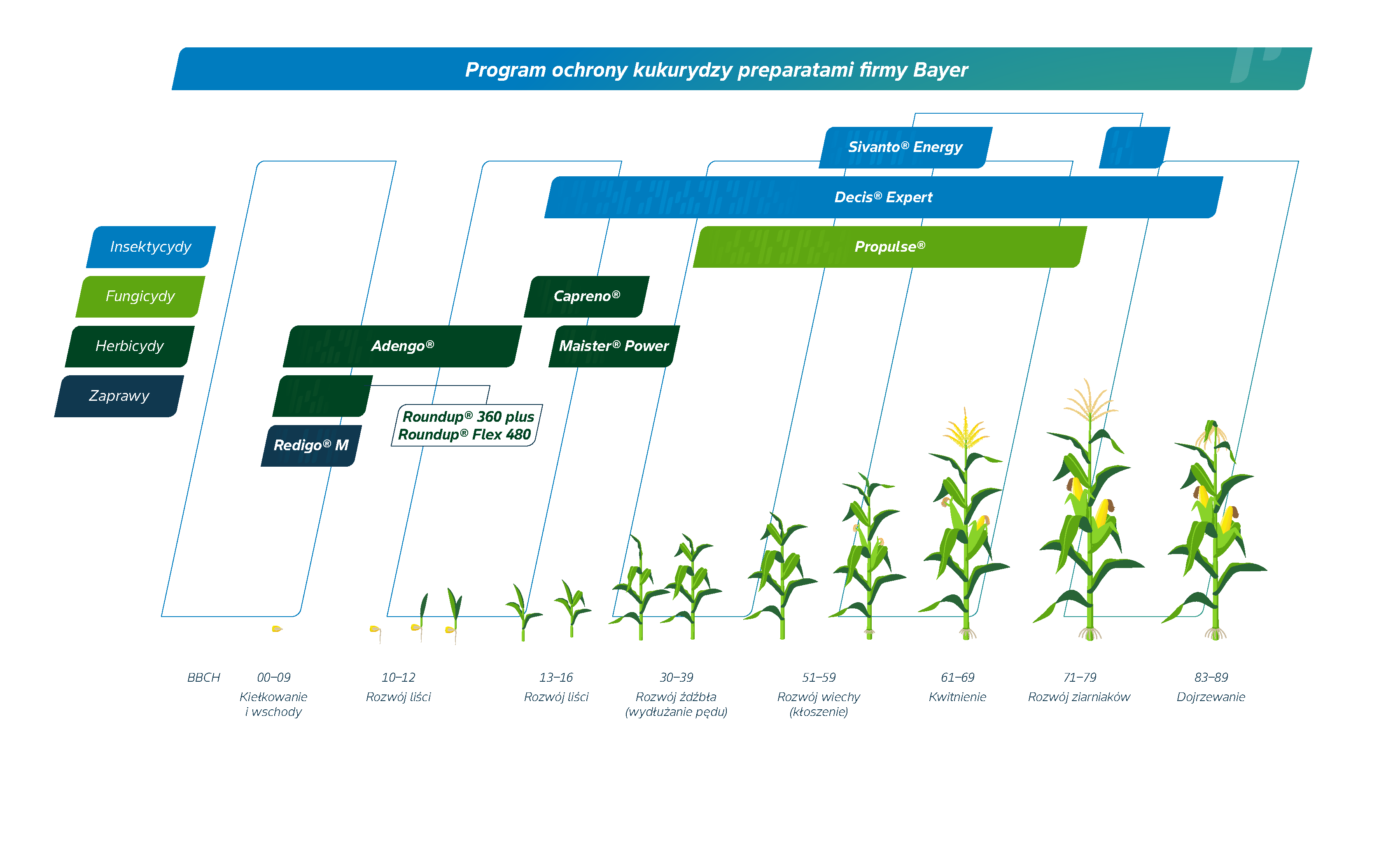 Program ochrony kukurydzy prepraratami firmy Bayer