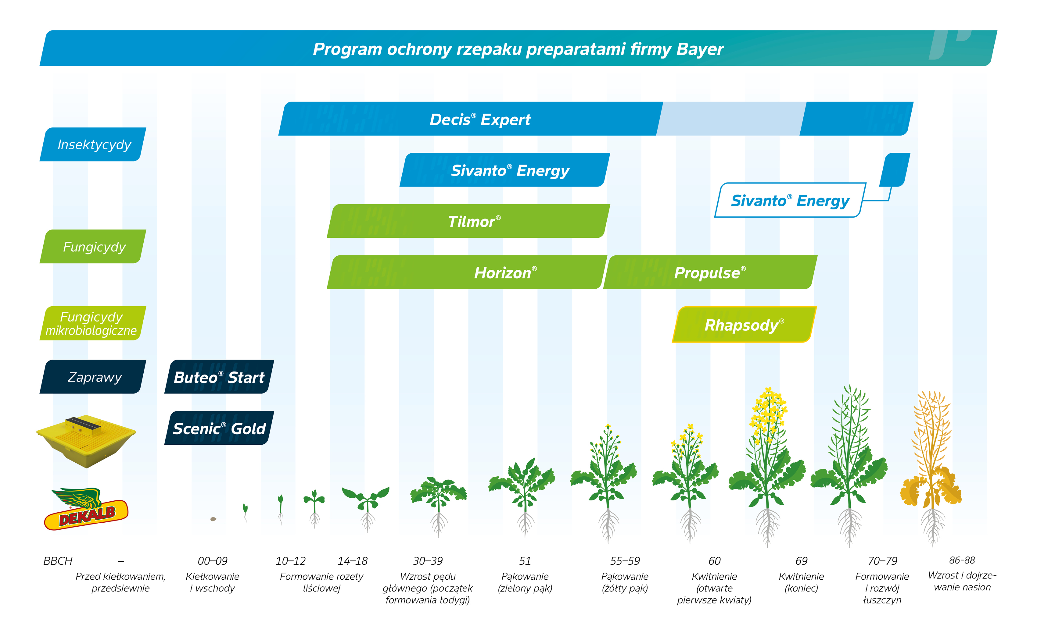 program ochrony rzepaku