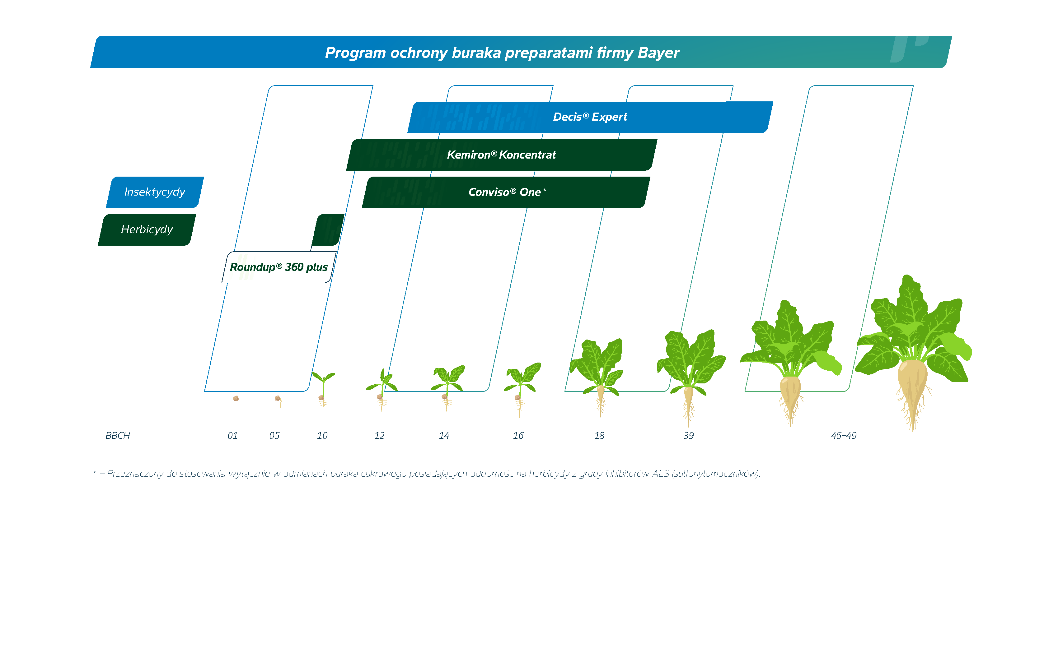 Program ochrony buraka cukrowego środkami firmy Bayer