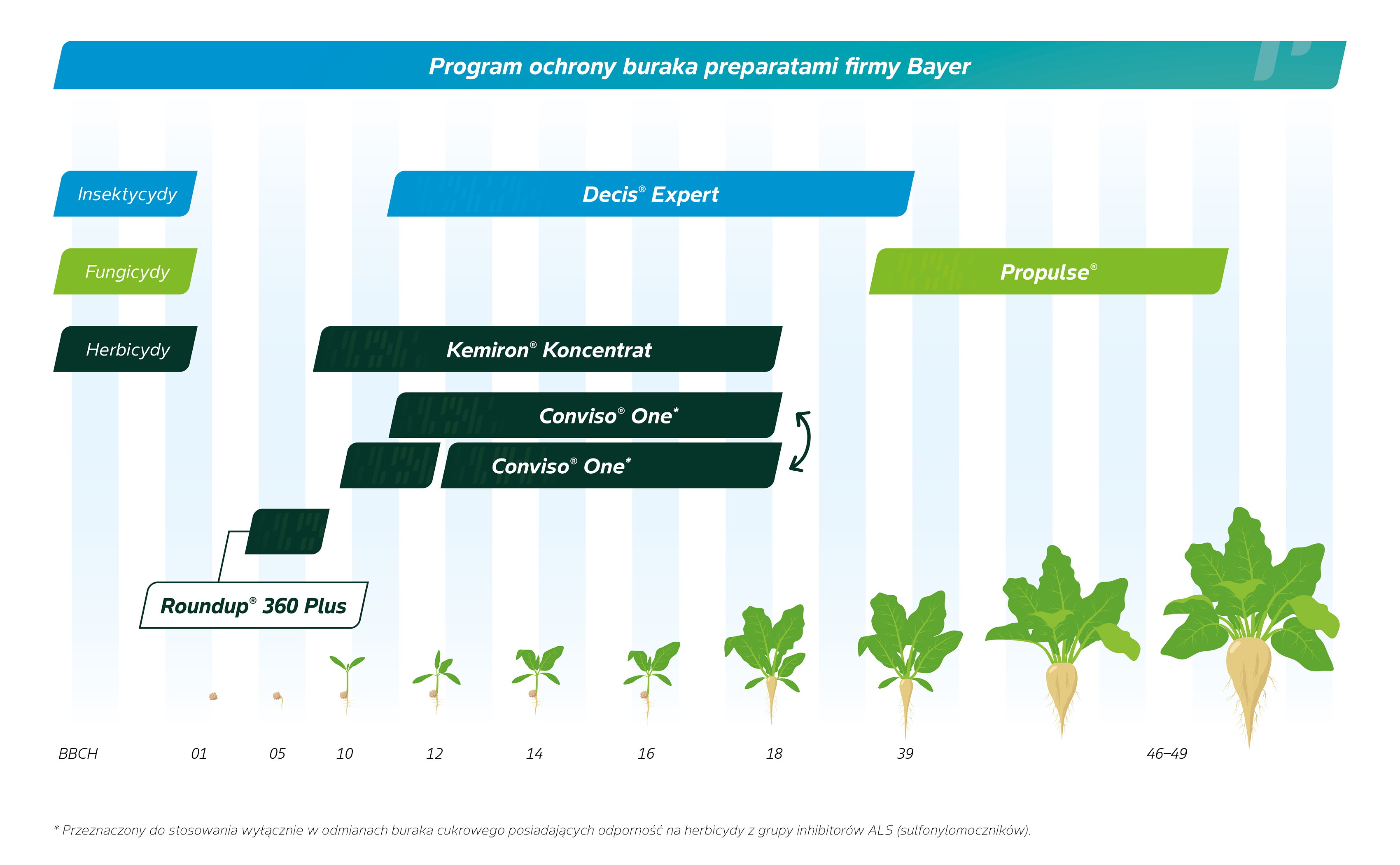 program ochrony roślin burak cukrowy