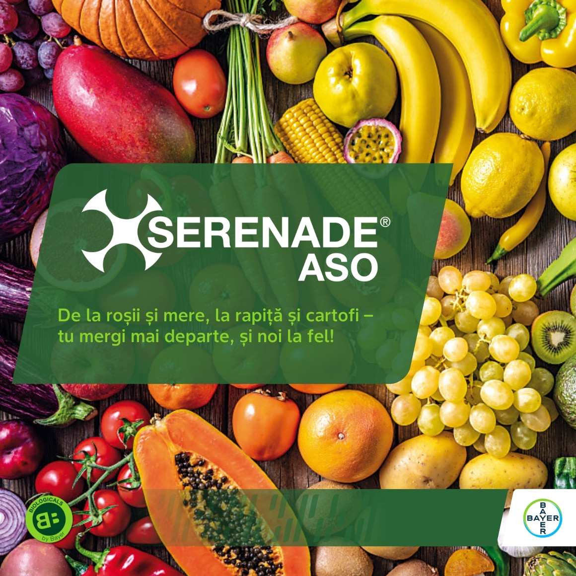 fruits and vegitables, tomatoes, potatoes, grapes, salad, serenade aso logo