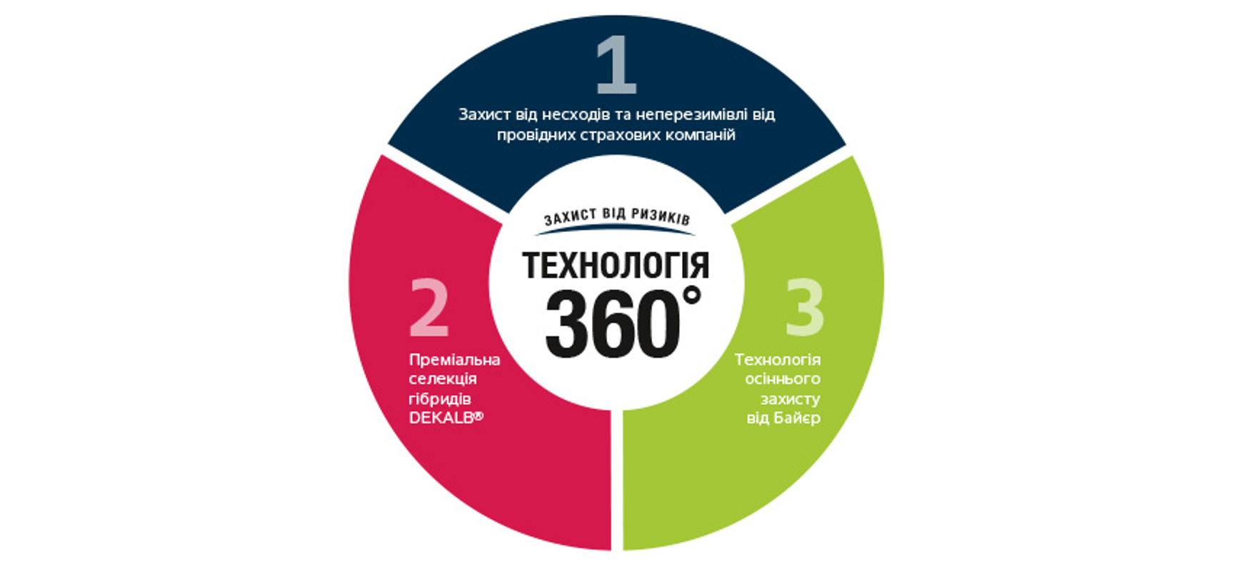 insurance360.png