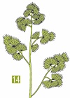 glosar de termeni