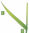 glosar de termeni
