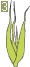 glosar de termeni