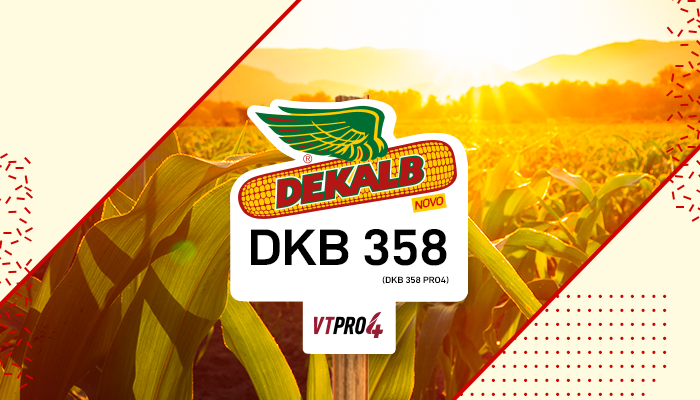 DKB 358 PRO4