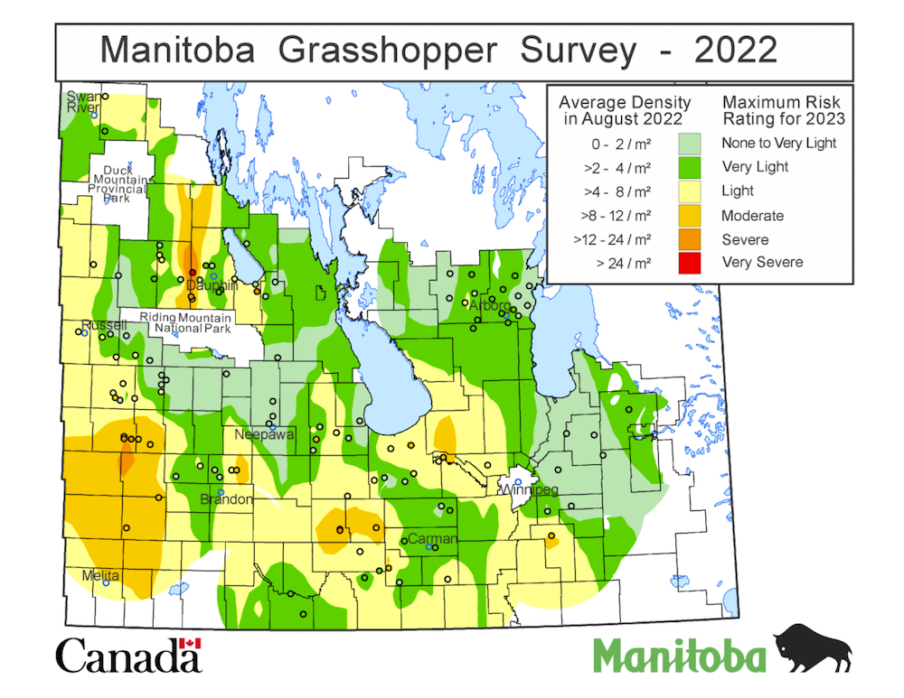 A topical map image of Manitoba is featured with colour grading to show where grasshopper density is the highest and lowest in the province.