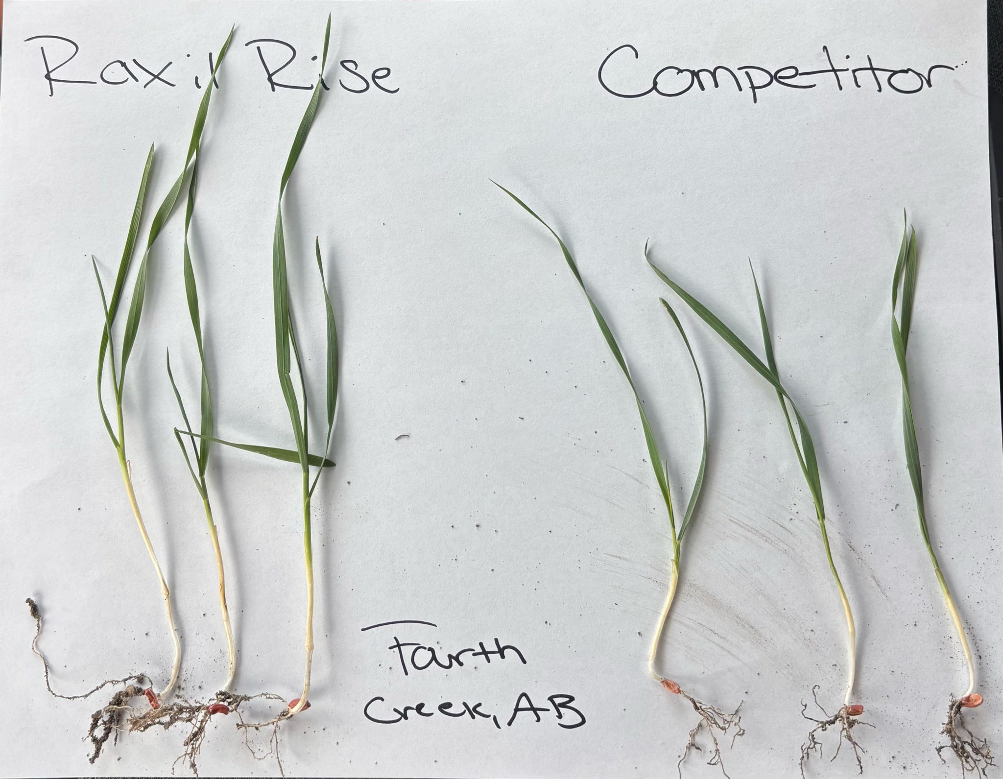 null CarouselImageSlide